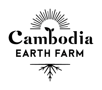 無農薬有機オーガニック生胡椒 カンボジアアースファーム